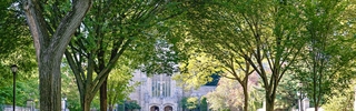 students enjoy the vibrancy of Yale's campus scenery