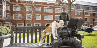 Handsome Dan sitting next to Ben Franklin statue with paws on Franklin's thigh